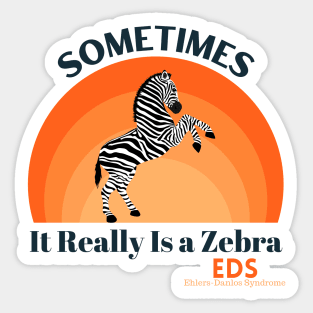 Sometimes It Really Is A Zebra Ehlers-Danlos Syndrome Sticker